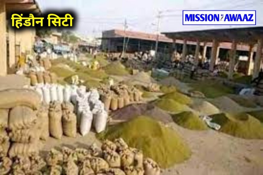 Hindaun City: 25 जुलाई से 31 जुलाई तक कृषि उपज मंडी रहेगी बंद