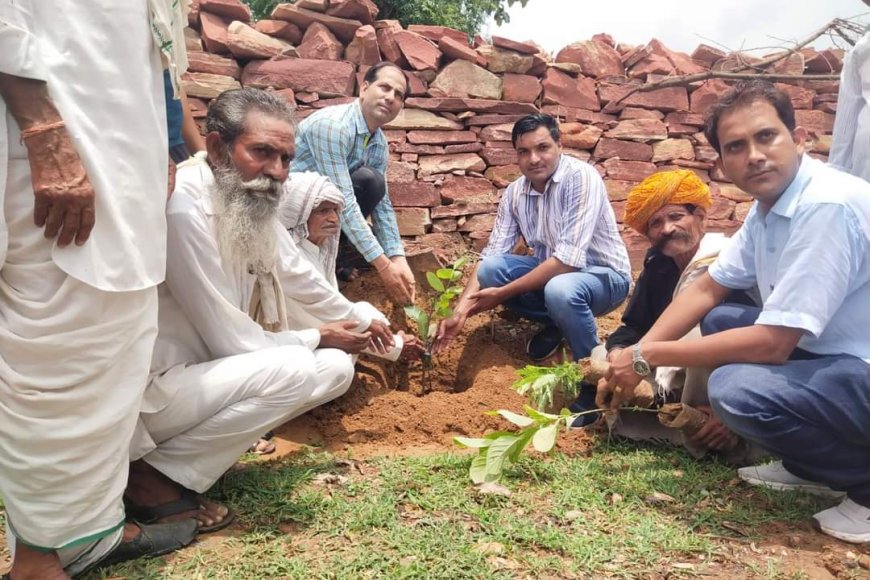 नर्सेज एसोसिएशन के प्रदेश अध्यक्ष के जन्मदिन पर किया पौधारोपण, स्वास्थ शिविर में 222 मरीजों का हुआ इलाज