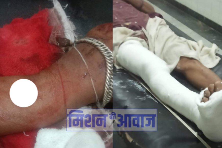 Karauli : वृद्ध माता-पिता के साथ की मारपीट, आरोपी पुत्र कमरूद्दीन गिरफ्तार