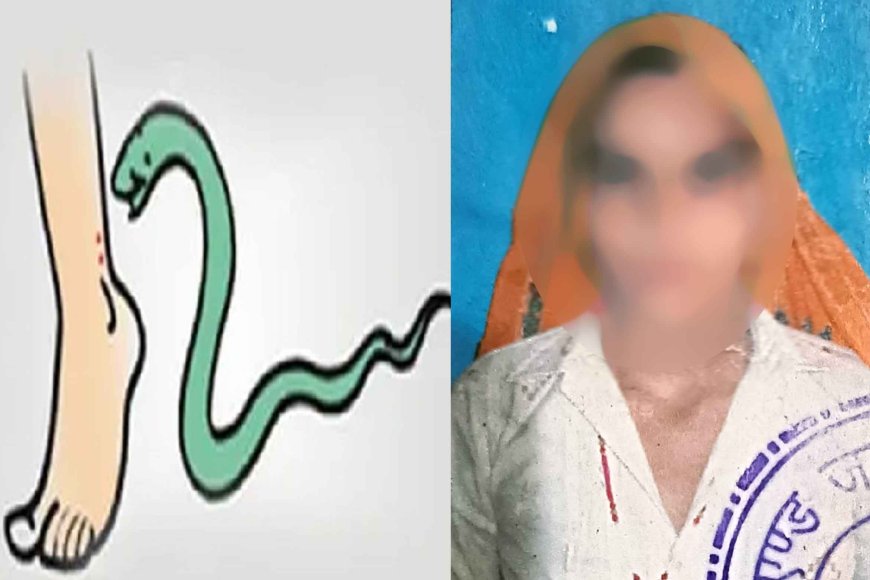 Karauli: खेत में कार्य कर रही महिला की सर्पदंश से मृत्यु