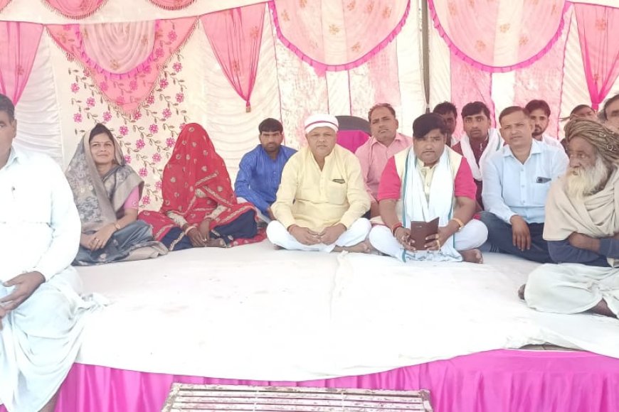 झाड़ोदा में भाजपा का डोर टू डोर जनसंपर्क अभियान