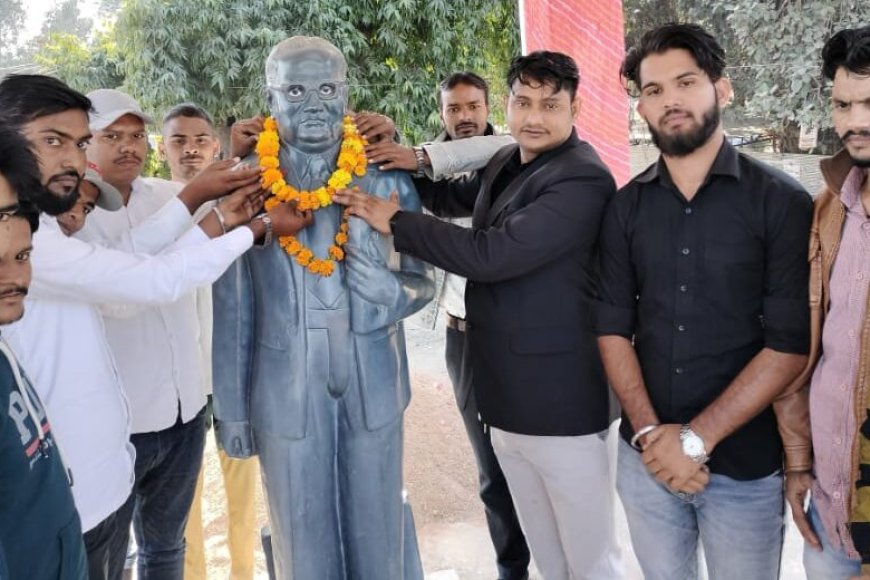 भीम आर्मी के तत्वावधान में धूमधाम से मनाया संविधान दिवस
