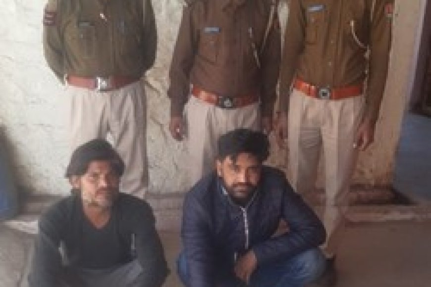 Karauli News: सोशल मीडिया पर अपराधियों/ गैंगस्टर्स का महिमा मण्डन एवं उनकों फॉलो करने पर <br>हिस्ट्रीशीटर गिरफ्तार