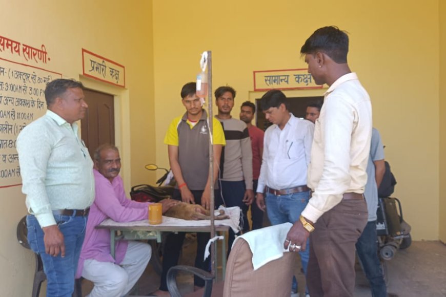 शेरपुर में घायल बंदर को बचाने में जुटे युवा बुलाए गए डॉक्‍टर; अस्‍पताल में कराया गया भर्ती