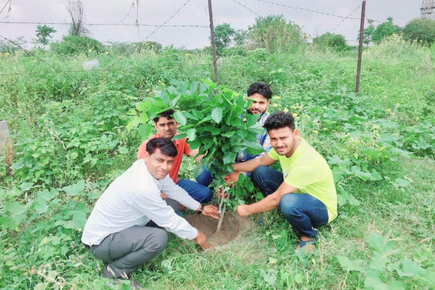 भाजपा नेता समय सिंह जाटव ने किया वृक्षारोपण कार्यक्रम