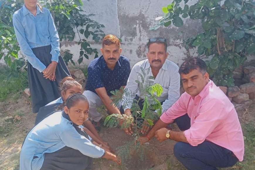 पेड़ ही जीवन दाता और धरती के श्रृंगार हैं - फत्ते सिंह
