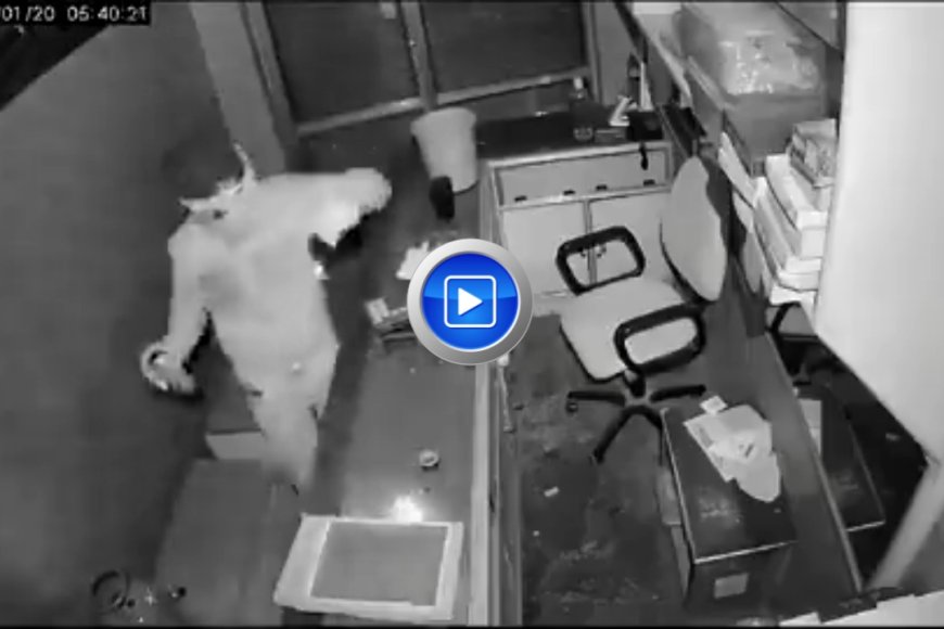 लाखों का सोना - चांदी और कैश ले उड़ा चश्में वाला चोर, CCTV मे हुआ कैद हुआ मगर फेस नहीं दिखा