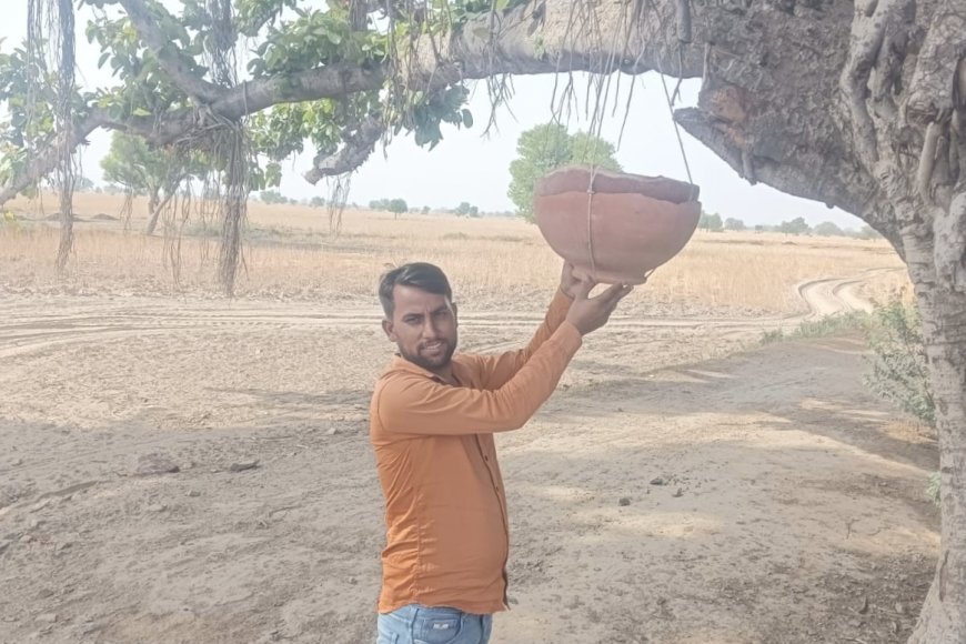 Bharatpur: पक्षियों के लिए लगाये भारतीय किसान यूनियन लोक शक्ति ने परिण्डे