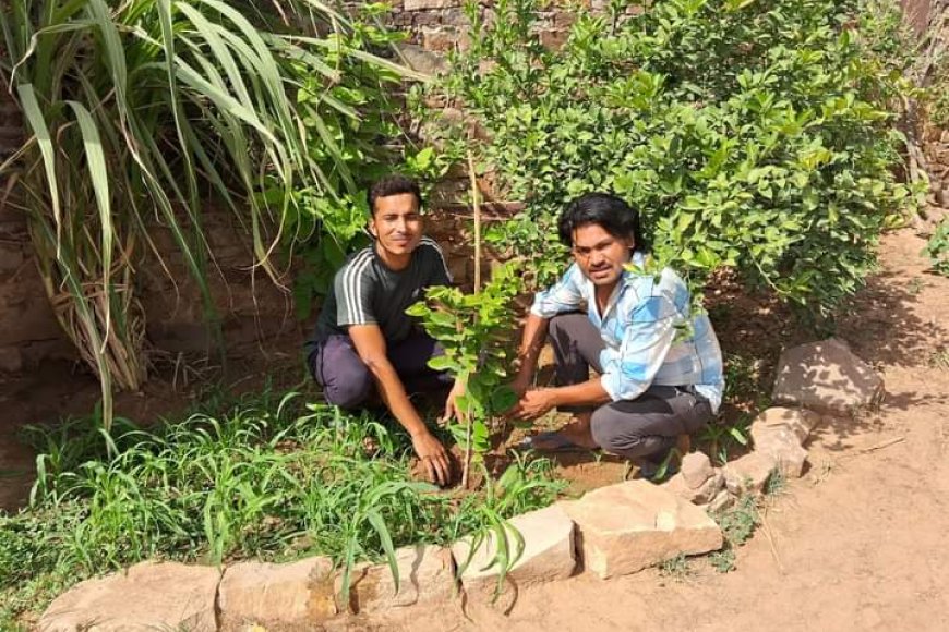 Karauli News: विश्व पर्यावरण दिवस के अवसर पर पौधे लगाकर आमजन को वृक्षारोपण के प्रति किया गया जागरूक