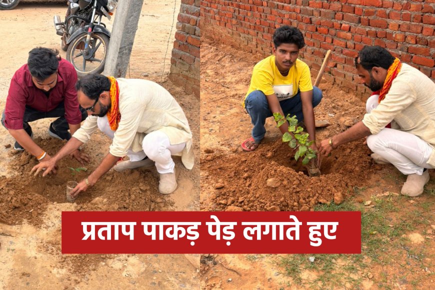 करौली । प्रताप पाकड़ ने पेड़ लगा देखभाल की ली जिम्मेदारी, डॉ किरोड़ीलाल मीणा से प्रेरित है प्रताप पाकड़