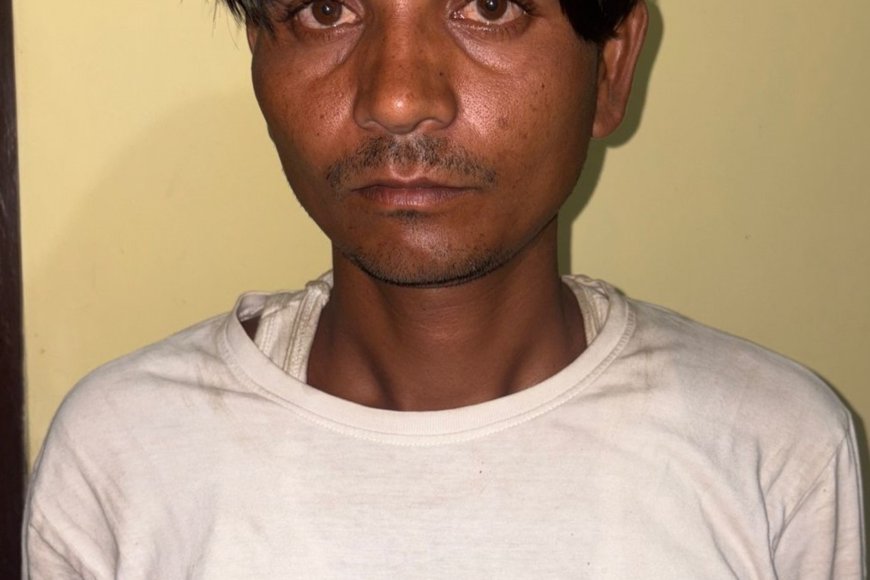 यूपी STF की बड़ी सफलता: अंतरराष्ट्रीय तस्कर चंगुल से 102 दुर्लभ कछुए बरामद