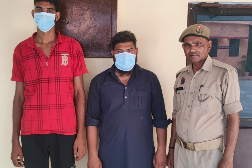 बागपत: दोधट पुलिस ने पकड़े दो पशु तस्कर, 28 पशुओं में से 21 निकले मृत, 7 जीवित