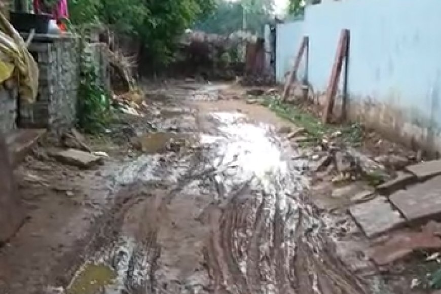 करौली: आज़ादी के 75 साल बाद भी उपेक्षित है तीन बड़ से रोहणी कॉलोनी तक का ऐतिहासिक मार्ग