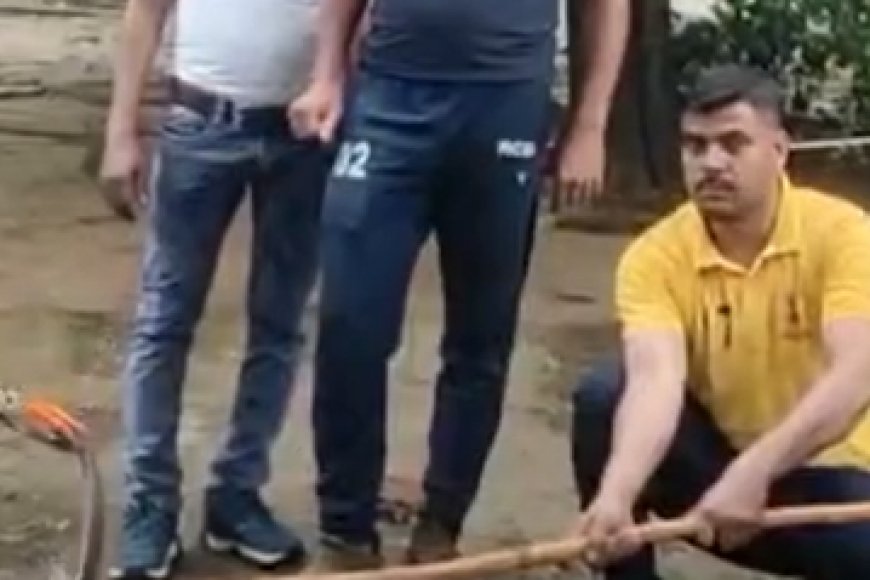 करौली सर्किट हाउस में एडीएम आवास पर सांप मिलने से हड़कंप, सिविल डिफेंस ने किया रेस्क्यू