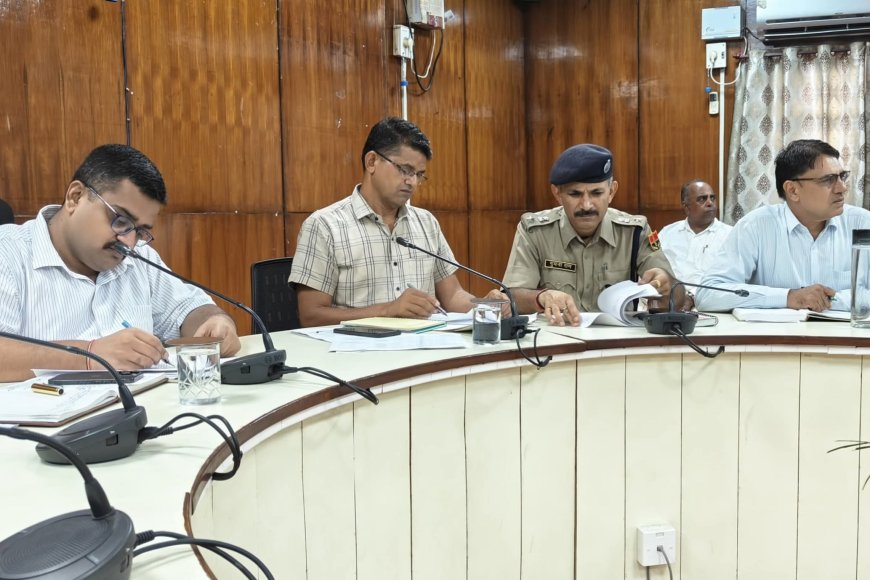 करौली न्यूज - जर्जर स्कूल, राजकीय भवनों का निरीक्षण कर प्रस्ताव भिजवायें अधिकारी  - जिला कलेक्टर