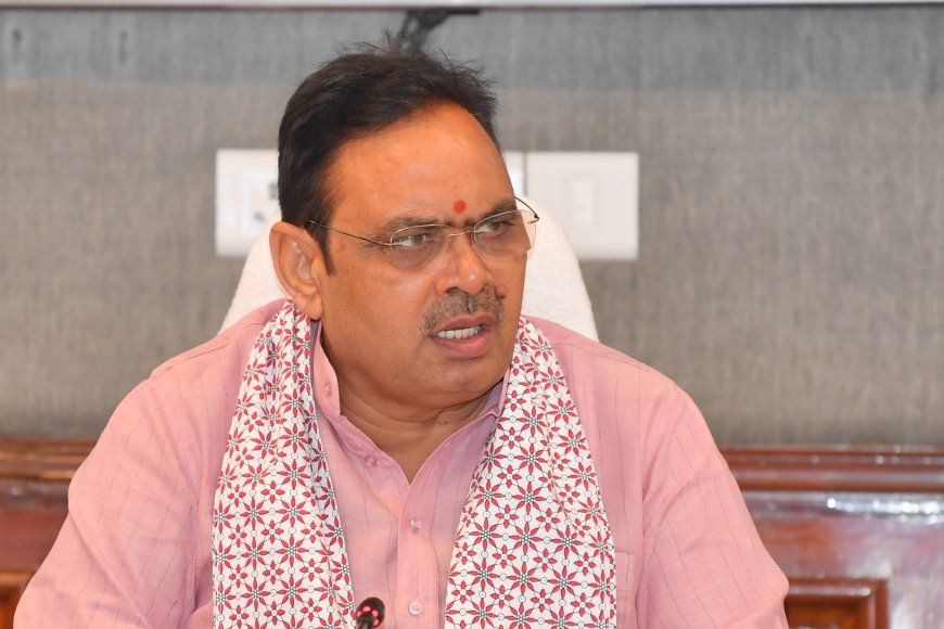 राजस्थान निकाय चुनाव पर असमंजस: हाईकोर्ट के आदेश के खिलाफ सरकार पहुंची डबल बेंच