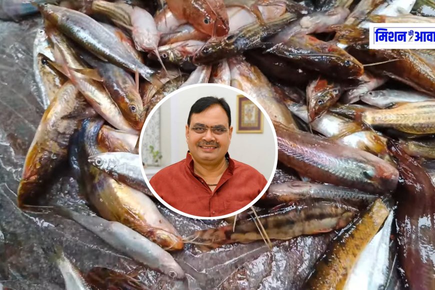 राजस्थान कैबिनेट का बड़ा फैसला: बेवजह मछली मारना अब अपराध