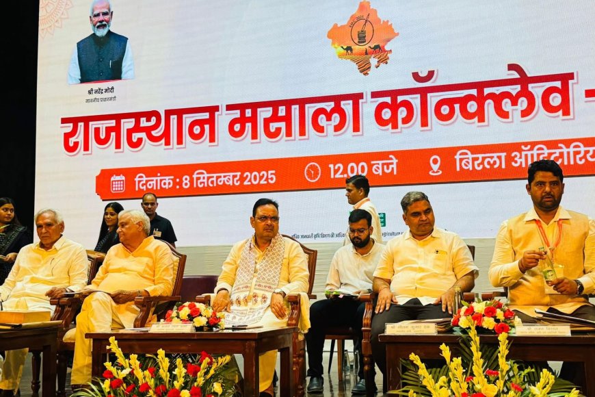 किरोड़ी लाल मीणा बोले - 'मसाला तो इनके पास है, मेरे पास सिर्फ कागज'