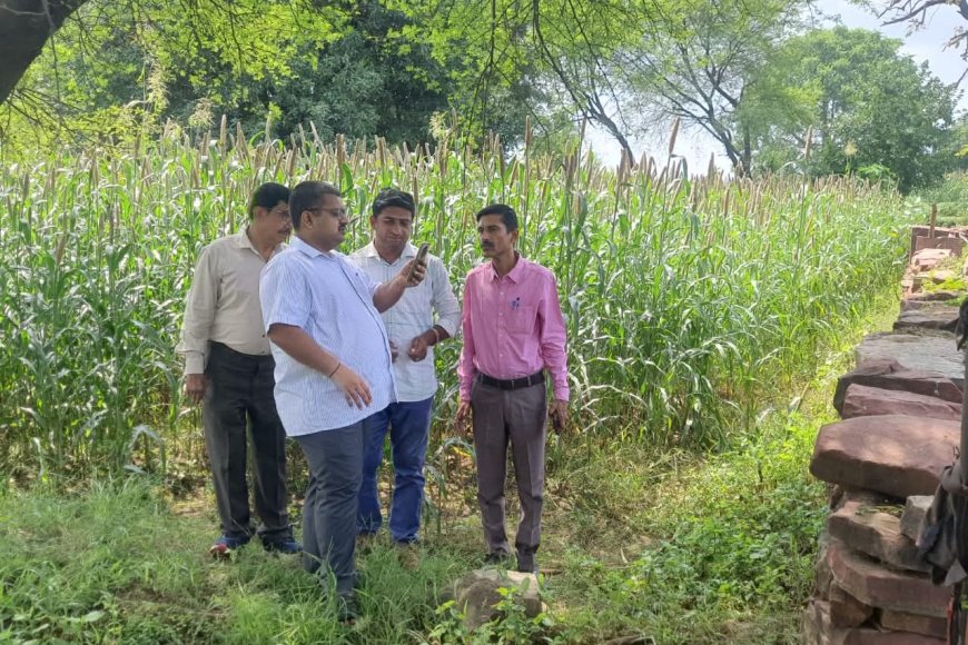 Karauli : ग्राम पंचायत ससेडी में फसल गिरदावरी का निरीक्षण कर जमीनी स्तर पर लिया जायजा