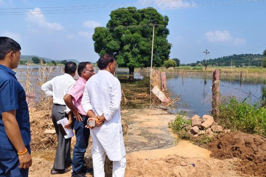सपोटरा विधायक हंसराज मीना ने आडाडूंगर में जलभराव से क्षतिग्रस्त फसलों का किया निरीक्षण