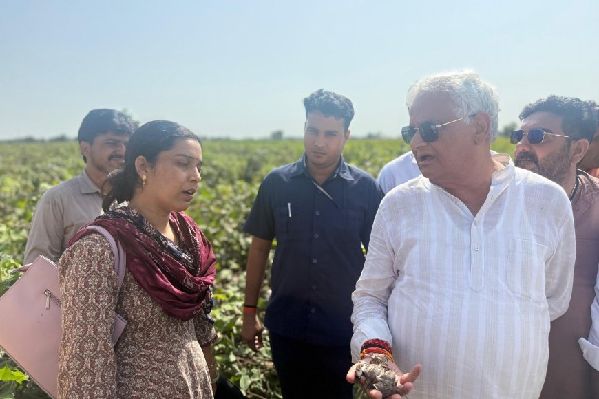 नकली बीजों के खिलाफ सख्त हुए कृषि मंत्री किरोड़ी मीणा, खेतों में पहुंचकर किया फर्जीवाड़े का पर्दाफाश
