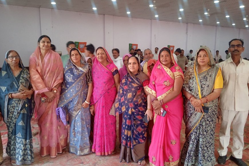 करौली इन मैरिज गार्डन में भाजपा का आत्मनिर्भर भारत एवं जीएसटी सम्मेलन आयोजित