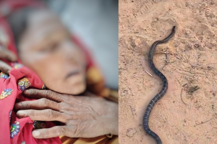 झाड़-फूंक के चक्कर में गई महिला की जान, समय पर इलाज मिलता तो बच सकती थी जिंदगी