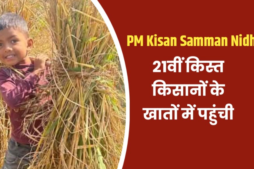 PM Kisan Samman Nidhi की 21वीं किस्त किसानों के खातों में ट्रांसफर, अगर राशि नहीं आई हो, जानें क्या करें