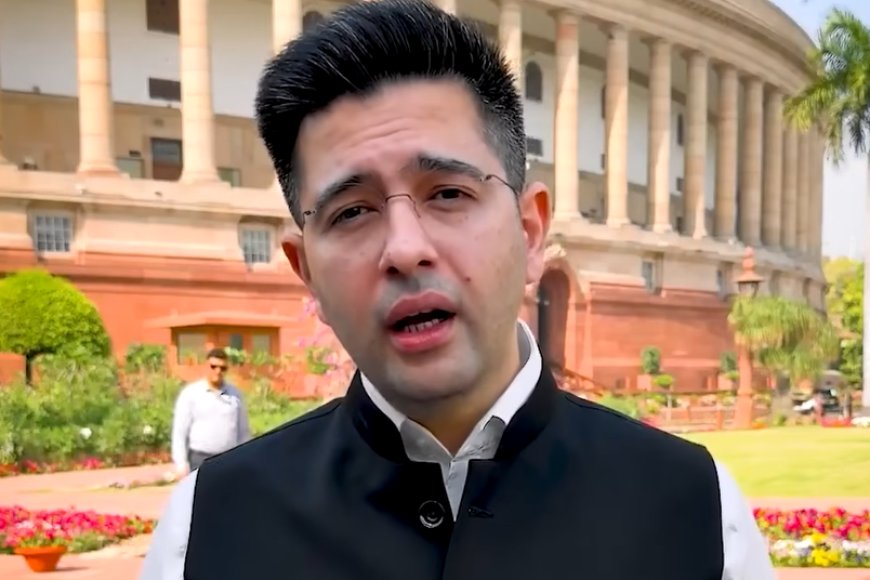 AAP और राघव चड्ढा विवाद: पार्टी ने बोला “मोदी के खिलाफ बोलने से डरते हैं”