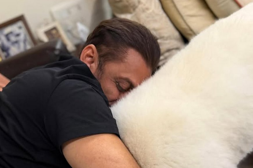 Salman Khan 'My Sukh': सलमान खान ने अपने पालतू डॉग के साथ साझा किया दिल जीतने वाला पल, फैंस बोले- 'ये है असली सुख'