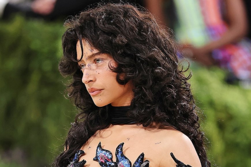 Met Gala 2026: डेब्यू मैच में ओडेसा एज़ियन ने खुद किया अपना मेकअप और हेयरस्टाइल; जानें क्यों नहीं ली एक्सपर्ट्स की मदद
