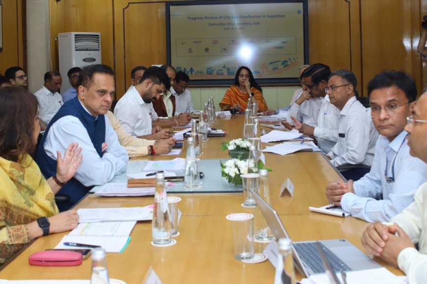 राजस्थान: 45 दिनों में 43 हजार घरों को मिलेगा डीपीएनजी कनेक्शन, मुख्य सचिव ने दिए 'एलपीजी फ्री जोन' बनाने के निर्देश