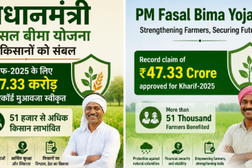 सवाई माधोपुर कृषि अपडेट: प्रधानमंत्री फसल बीमा योजना से किसानों को संबल; खरीफ-2025 के लिए ₹47.33 करोड़ का रिकॉर्ड मुआवजा स्वीकृत, 51 हजार से अधिक किसान लाभांवित