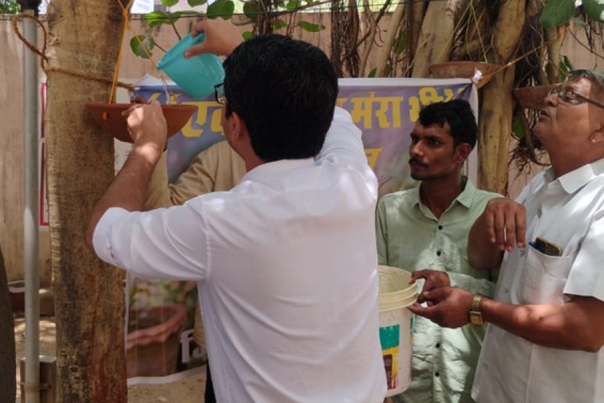 भीषण गर्मी में बेजुबान पक्षियों के लिए मानवीय पहल; जिला कलक्टर, एसपी और एडीएम ने कलेक्ट्रेट परिसर में बांधे परिंडे